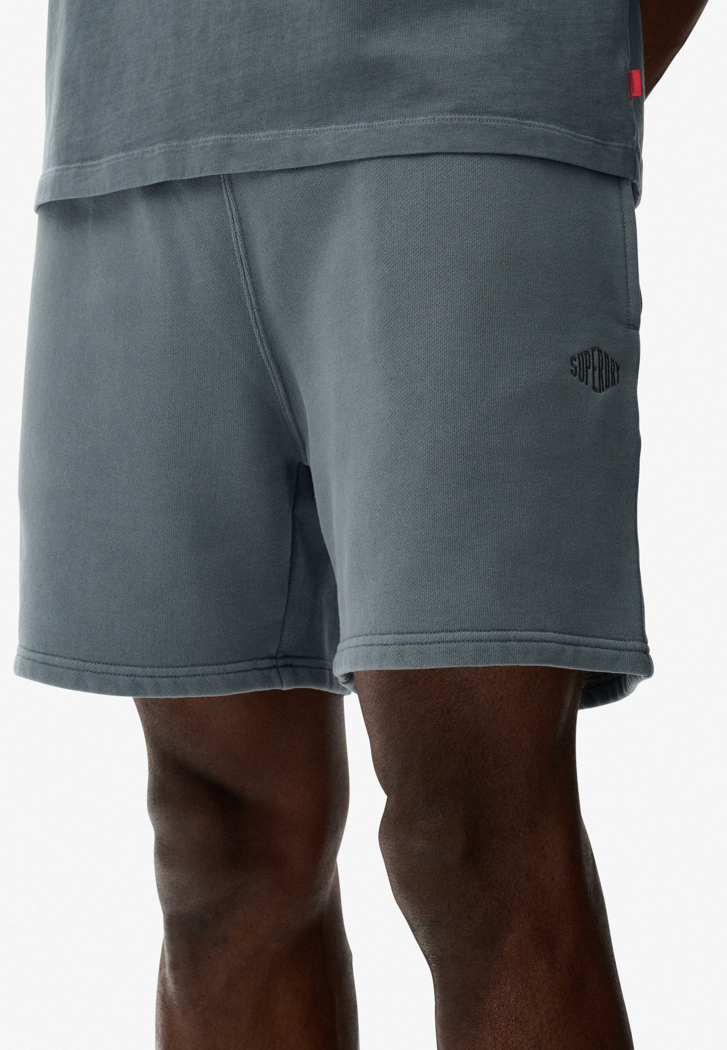Micro Logo Shorts (5)