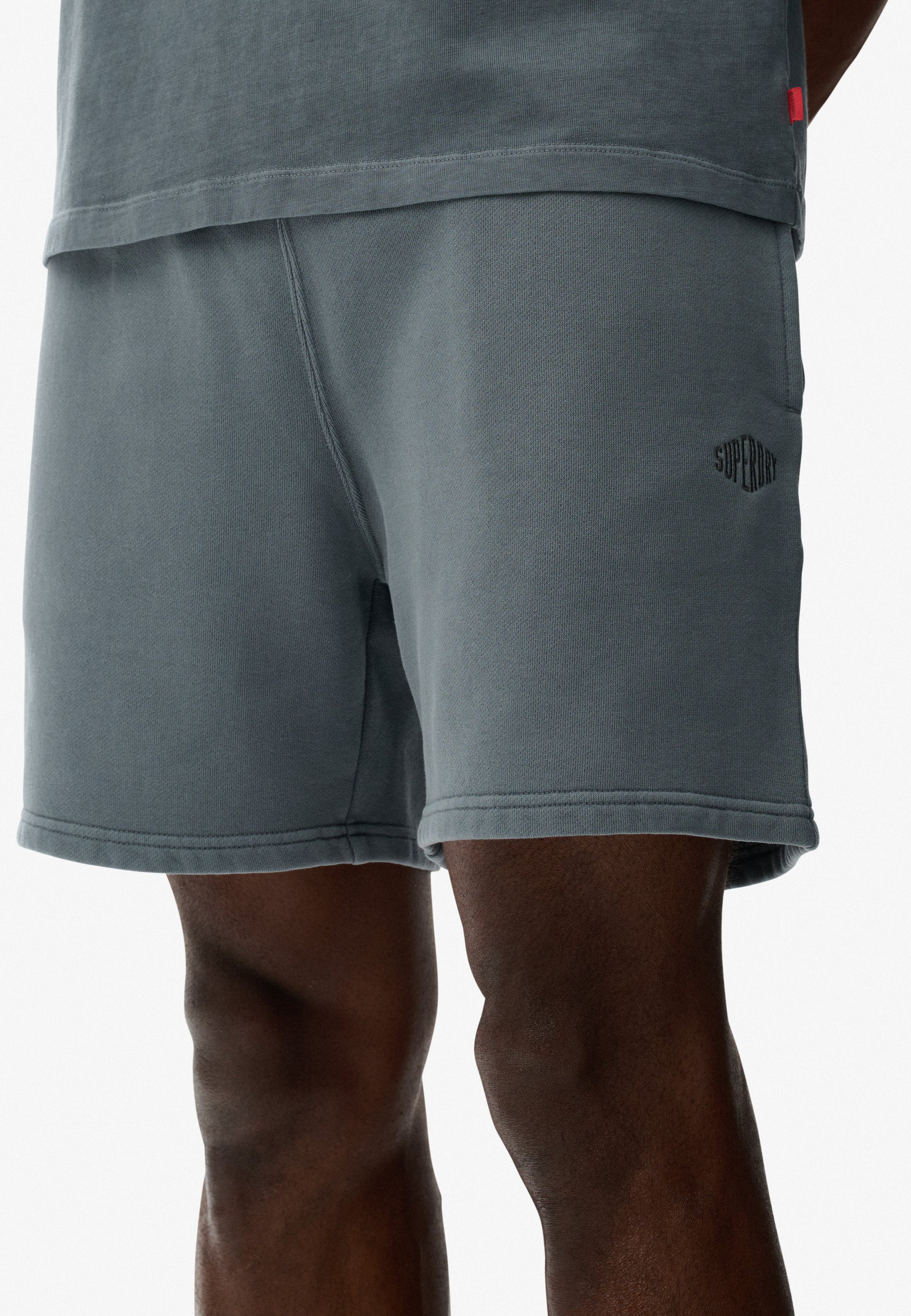 Micro Logo Shorts (5)